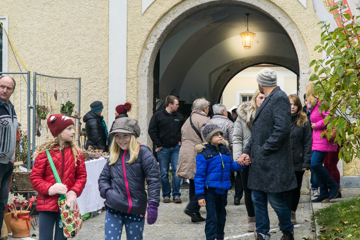 O Fotomagazin / Martinimarkt in Steinerkirchen 2016